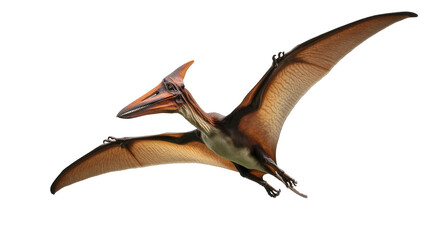 Brown Pterodactyl Flying with Extended Wings and Sharp Beak © Rowan