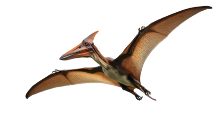 Fotobehang Dinosaurussen Brown Pterodactyl Flying with Extended Wings and Sharp Beak  © Rowan