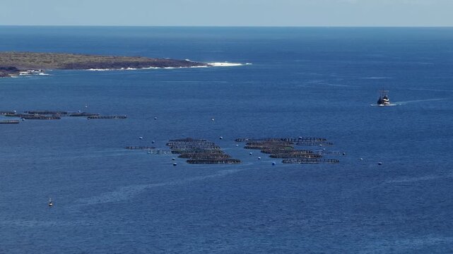 Authentic Coastal Fishing Port and Village Shoreline in Candelaria, Canary Islands