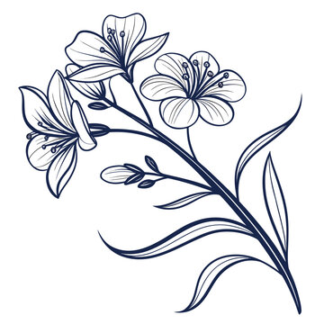 wallflower with leaves