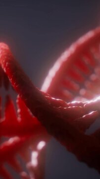 This shows a close view of DNA structure with two strands intertwining. The visual highlights the twists and turns that form the helix shape. Light shines on the strands in a striking way.