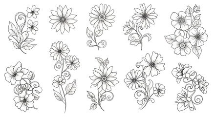 Fototapeta premium Hand-drawn floral elements, line art flowers and leaves, elegant botanical illustrations