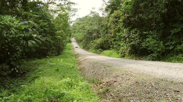 Dirt road built by an oil company through pristine rainforest, In pristine rainforest, Orellana province, Ecuador.  Roads bring colonization and destruction of the rainforest to the Amazon Basin.