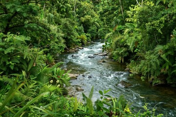 Fototapeta premium River flowing through dense green tropical forest valley