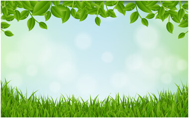 Fototapeta premium green grass background with Leaves