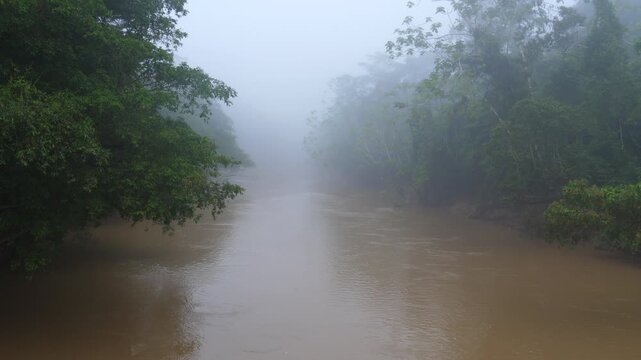 Rio Tiputini flowing through the rainforest. Mist often forms over Amazonian watercourses in the early morning. In Yasuni National Park, Orellana province, Ecuador