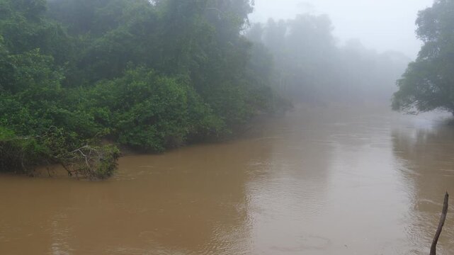 Rio Tiputini flowing through the rainforest. Mist often forms over Amazonian watercourses in the early morning. In Yasuni National Park, Orellana province, Ecuador