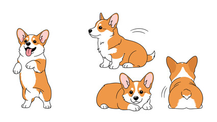 Fototapeta premium Set of cute corgi puppy illustrations in various poses including standing sitting lying down and showing its back.