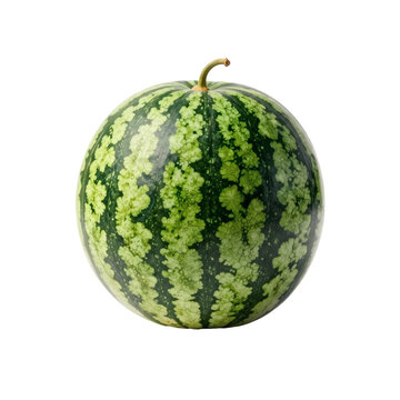 Whole watermelon with a light green flower pattern on a white background