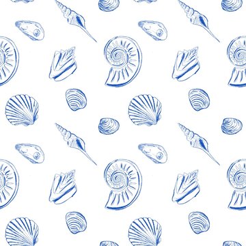 Nautical seamless pattern with hand drawn seashells on white background