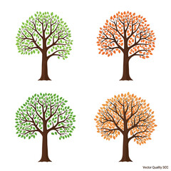 Obraz premium Four Seasons Trees: Spring Green and Autumn Orange Foliage on White Background