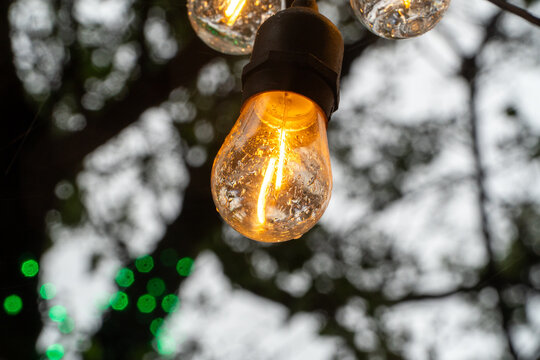 Warm glowing Edison bulb on an outdoor string light, covered in sparkling water droplets, creating a festive and cozy ambiance against a soft, blurred background of green lights and trees.