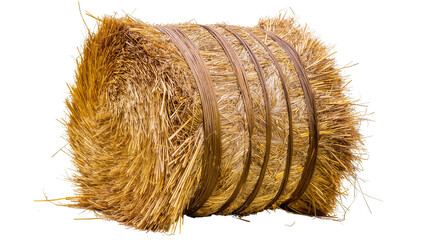 Large rectangular Hay Bale bound with brown twine © Ari