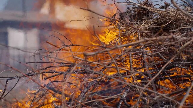 Fire Quickly Burns. Flames Consume Dry Twigs Rapidly. Bright Flames Swiftly Ignite Parched Branches Causing Smoke. Desiccated Twigs Are Consumed By Intense Flames With Sparks Flying Everywhere