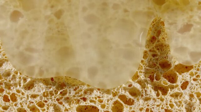 Transparent Gel Fluid, Serum, Oil with bubble flows down a Cosmetic Sponge. Moisturizing Hyaluronic acid, Cream Texture. Skin or Body Care Products. Macro Shot of Natural Organic Cosmetics. 4k