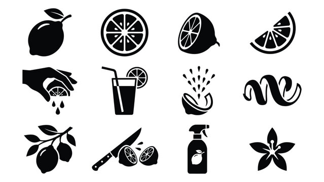 Black and white citrus fruit and juice icons set