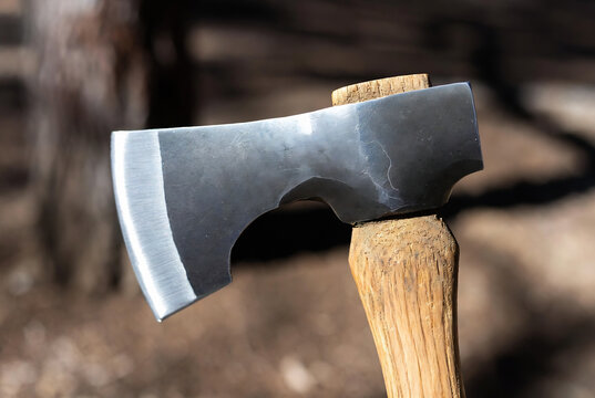 A hand axe rests on a wooden handle, suggesting preparation for wood-splitting. It&rsquo;s set against a blurred forest background.