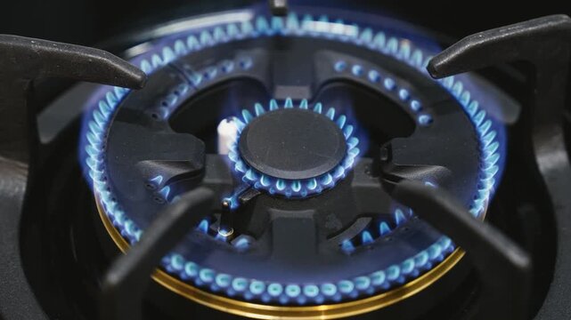 Close up of a kitchen gas stove with a consistent blue flame, illustrating controlled heat, fuel use, and everyday cooking in a modern domestic environment.