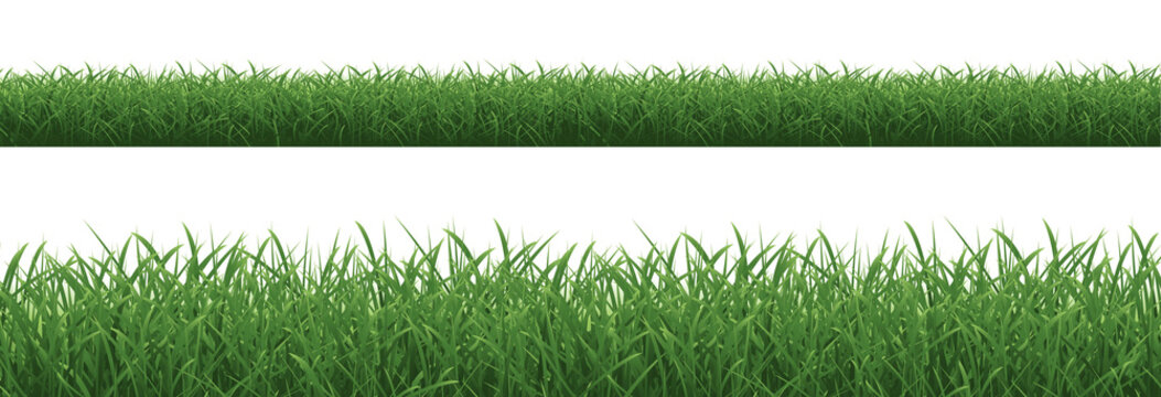 Green Borders Collection Isolated White Background