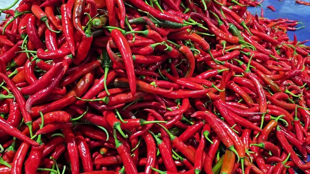 Red chili peppers heap close up with green stems. Fresh hot capsicum background texture with spicy vegetables at market. Food ingredient, cooking seasoning, organic agriculture and harvest concept. Ma