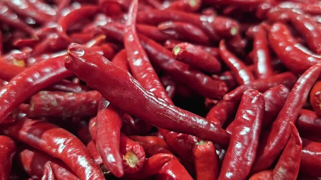 Red chili peppers pile close up with glossy skin texture. Fresh hot capsicum background with spicy vegetables and market produce. Food ingredient, cooking seasoning, organic agriculture and harvest