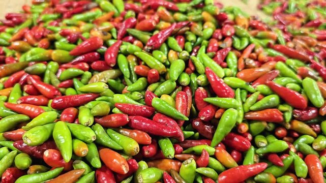 Mixed red green and orange chili peppers pile close up. Fresh hot capsicum background texture with colorful spicy vegetables. Food ingredient, cooking seasoning, organic agriculture and harvest concep