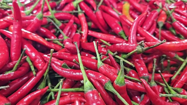 Red hot chili peppers pile close up with green stems. Fresh spicy capsicum background texture. Food ingredient, cooking seasoning, organic agriculture and market produce concept