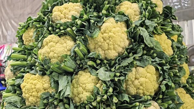 Fresh cauliflower heads stacked at vegetable market stall with green leaves. Organic farm produce display with raw healthy vegetables in grocery store. Close up food background