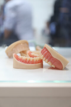 pr&oacute;tesis dentales humanas