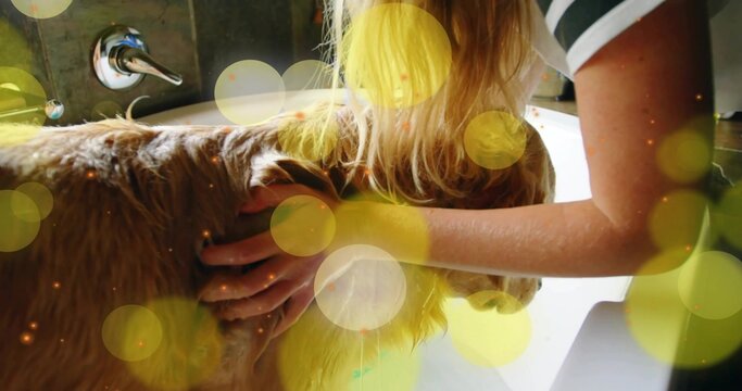 Bathing carer rinsing golden dog in bathtub near chrome faucet, wearing striped shirt with bokeh