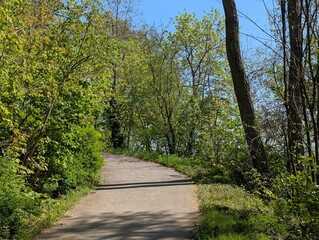 Fototapeta premium Gehweg im Plänterwald, Berlin