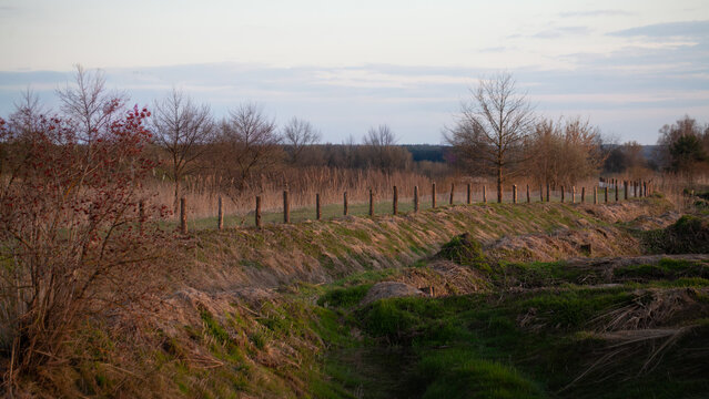 Rural landscape with fence posts marking a field boundary