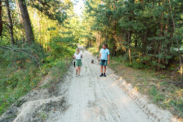 Fototapeta premium Couple Hiking and Walking with Dogs on a Scenic Sandy Path in Pine Forest