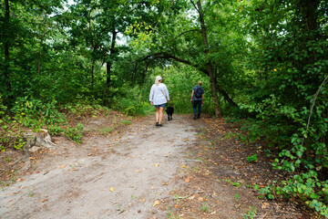 Fototapeta premium Couple Walking with a Dog on a Sandy Path through Lush Green Summer Forest
