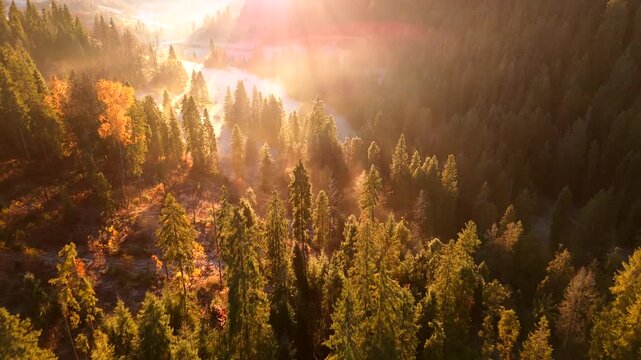 Dawn in the mountains in autumn. Sun rays break through the morning fog.