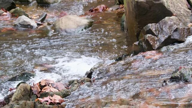 View of water cascading over rocks and fallen leaves in a forest stream at Scott's Run Nature Preserve in McLean, Virginia, United States.