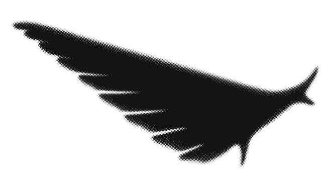 A single wing shadow partially visible and cropped at the edge, angled dynamically with strong negative space, monochrome halftone illustration, dense dot