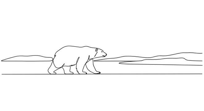 "Arctic Wildlife". Minimalistic one-line drawing polar bear walking across simple ice landscape with horizon line, continuous single black line on white