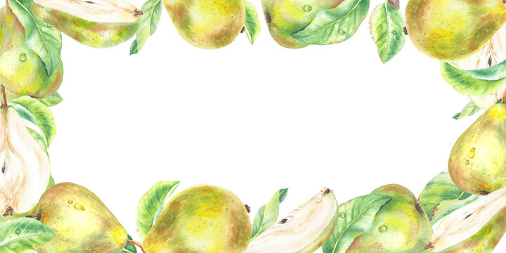 Pear watercolor frame isolated illustration. Yellow ripe fruits with green leaf and slice hand drawn. Floral realistic sketch. Square food frame for creating summer arrangements. Whole and halved art