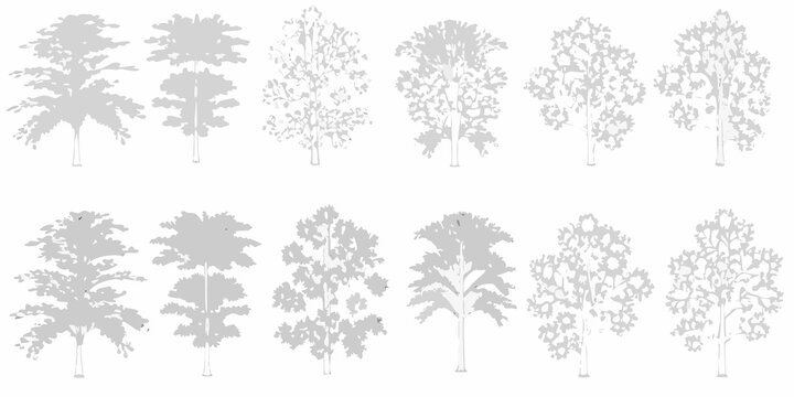 Tree silhouettes collection ten variants on white background
