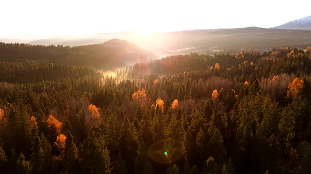 Dawn in the mountains in autumn. Sun rays break through the morning fog.