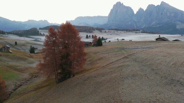 Aerial view of Alpine meadow mountain Plateau in autumn. South Tyrol, Italy