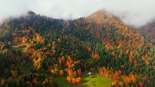 Gorgeous colourful autumn in the mountains. Pieniny, Poland