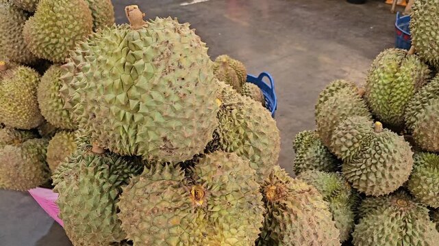 Durian fruits piled in market basket on concrete floor. Market produce photography close up. Tropical fruit sale and food market concept. Design for poster, banner, card, wallpaper, print. Close up sh