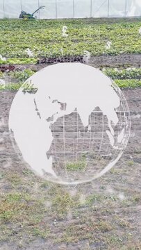 Vertical video: Globe fading in over crops, rotating, money icons floating up showing farm finance