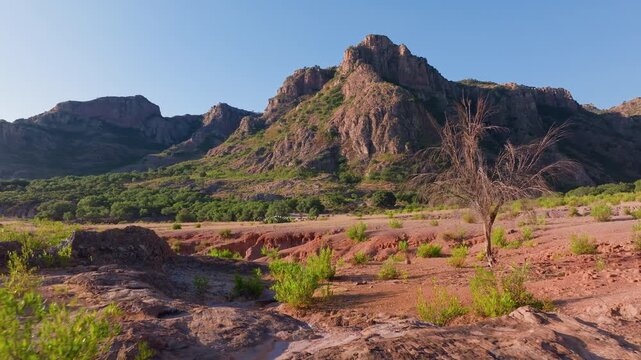 Majestic rocky mountain peak towers over arid desert terrain with red eroded soil, scattered green shrubs, and sparse vegetation under clear blue skies during golden hour morning light in Mexico.