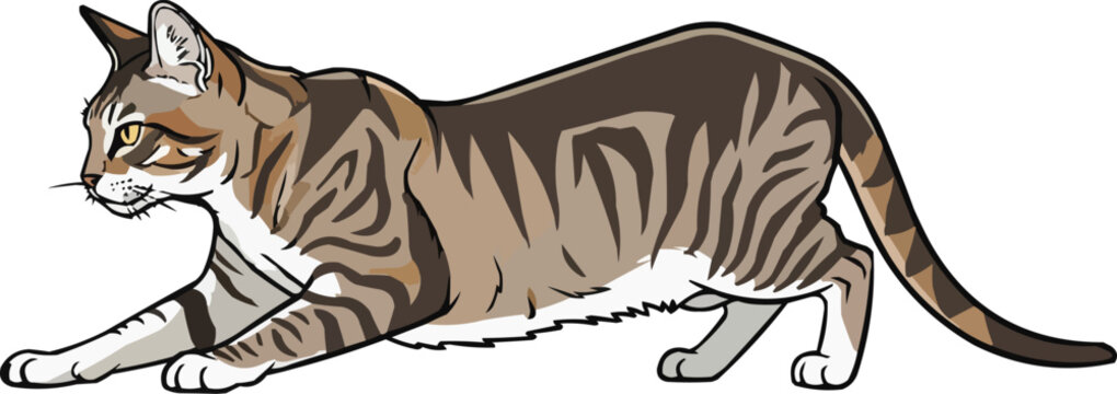 Cyprus Cat focused stalking movement side view vector illustration