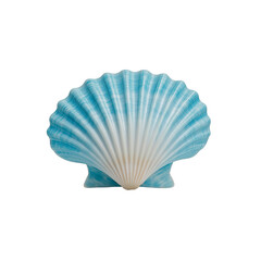Fototapeta premium Blue and White Scallop Shell isolated on a transparent background