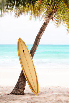 tabla de surf, playa, mar, verano, oce&aacute;no, arena, tropical, cielo, paisaje, vector, acu&aacute;tico, sol, la palma, ilustraci&oacute;n, isla, &aacute;rbol, viajando, naturaleza, olas, vacaciones, dibujos animados, barca, 