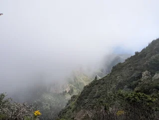 Mystical Foggy Forest in Garajonay National Park on La Gomera, Canary Islands © Random_Mentalist